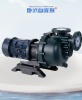 耐腐蝕泵試機(jī)啟動需要注意什么?